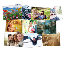 Fridge Magnets 104x140mm 10 Pack incl Delivery