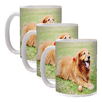 Mug 325ml incl Delivery x 3